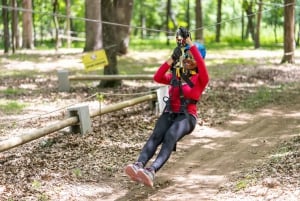 Dallas: Aerial Adventure Course Park Pass