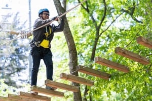 Dallas: Aerial Adventure Course Park Pass