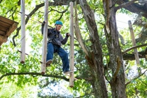 Dallas: Aerial Adventure Course Park Pass