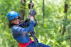 Dallas: Aerial Adventure Course Park Pass