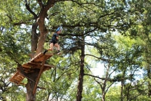 Dallas: Aerial Adventure Course Park Pass