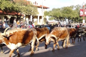 Dallas: City & Fort Worth Combination Tour