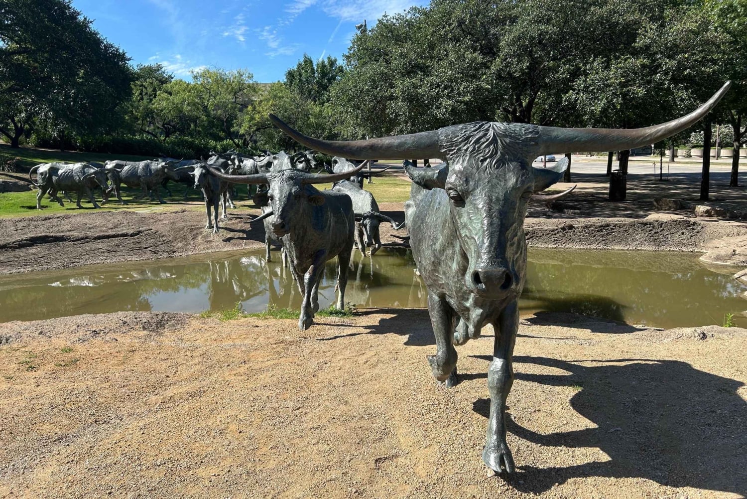 Dallas: Historic Private Walking Tour