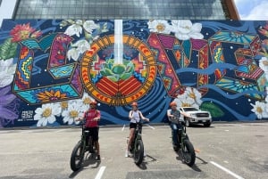 Dallas Mural E-Bike Tour