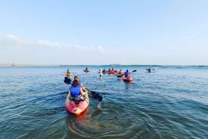 Dallas: Lej en sit-on-top-kajak med undervisning og fotos