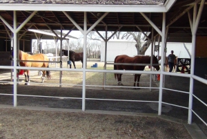 Dallas: Southfork Ranch, Dallas Highlights, and JFK Tour