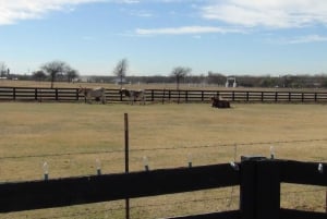 Dallas: Southfork Ranch, Dallas Highlights, and JFK Tour