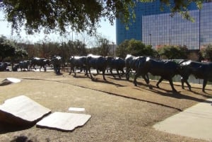 Dallas: VIP Guided Cowboys Stadium Tour and City Sightseeing