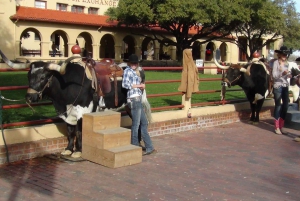 From Dallas: Fort Worth Guided Day Tour