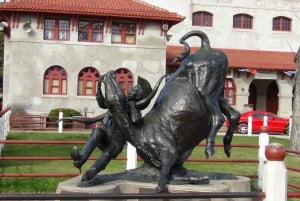 From Dallas: Fort Worth Guided Day Tour