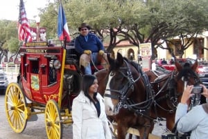 From Dallas: Fort Worth Guided Day Tour