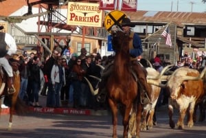 From Dallas: Fort Worth Guided Day Tour