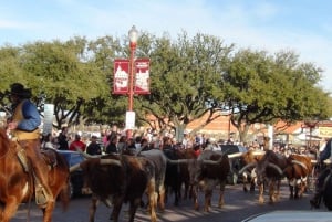 From Dallas: Fort Worth Guided Day Tour