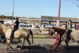 From Dallas: Fort Worth Guided Day Tour