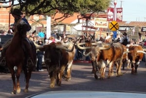 From Dallas: Fort Worth Guided Day Tour