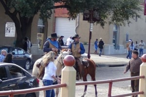 From Dallas: Fort Worth Guided Day Tour