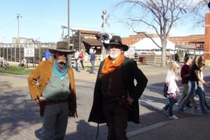 From Dallas: Fort Worth Guided Day Tour