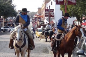 From Dallas: Fort Worth Guided Day Tour