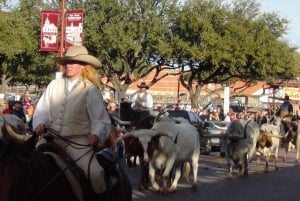 From Dallas: Fort Worth Guided Day Tour