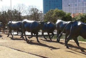 Full-Day Small-Group Tour of Dallas & the JFK Assassination