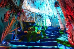 Grapevine : Meow Wolf Le vrai billet irréel
