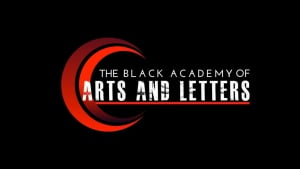 20th ANNUAL WEEKEND FESTIVAL OF BLACK DANCE