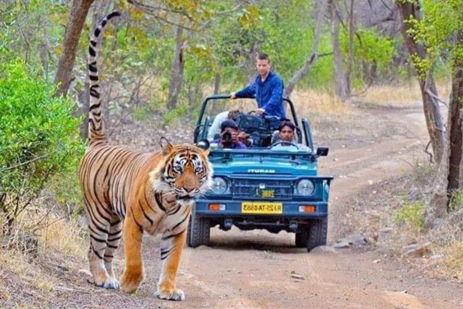 06 päivän Golden Triangle Tour ja Ranthambore Safari