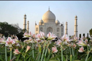 06 päivän Golden Triangle Tour ja Ranthambore Safari