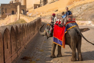 06 Tage Goldenes Dreieck Tour mit Ranthambore Safari