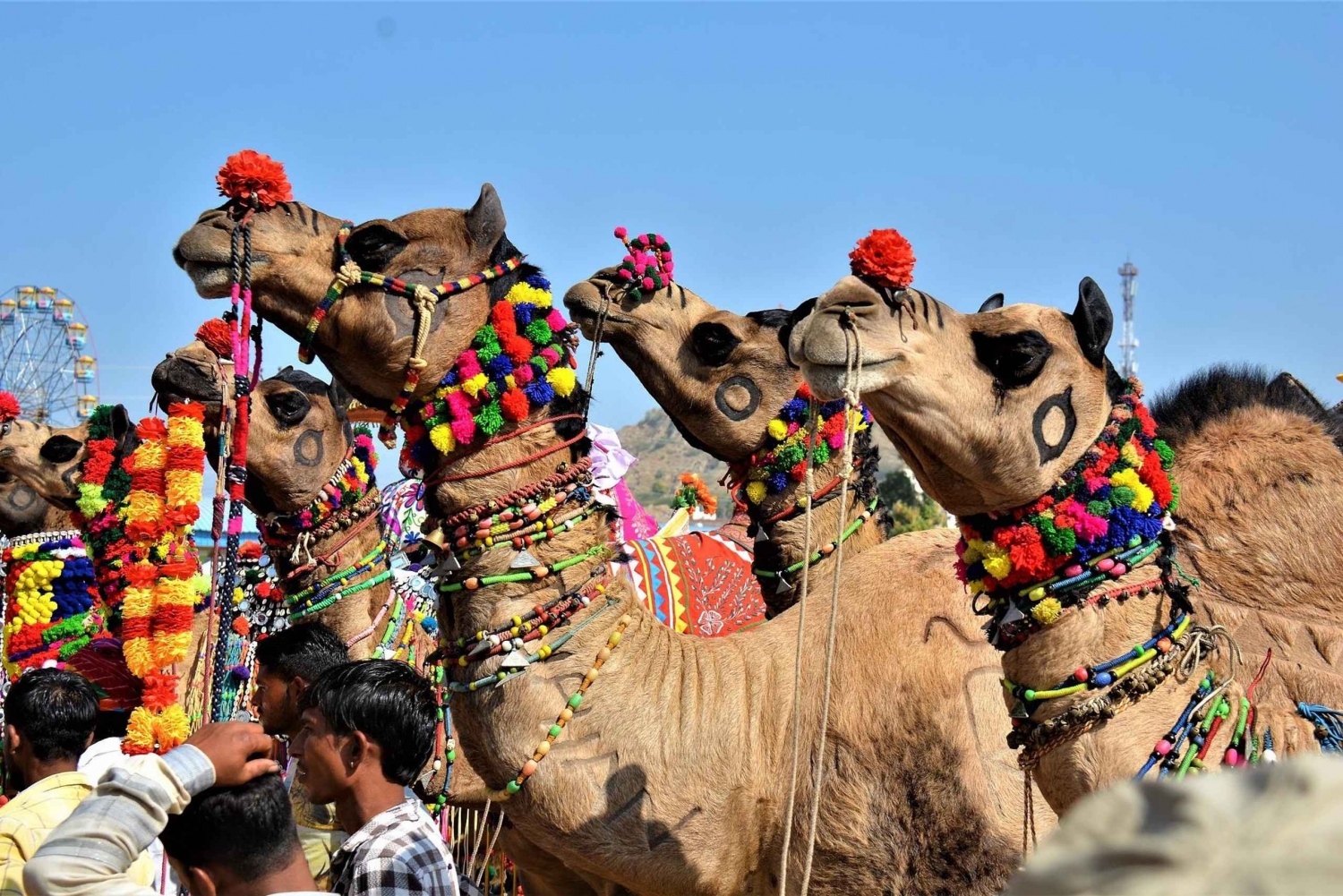 10 päivää Rajasthan & Kultainen kolmio ja Tiger Safari Tour