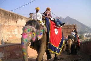 10 dagars Rajasthan & Gyllene Triangeln med Tiger Safari Tour