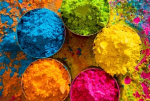 14 March - Enjoy Holi (Color Festival) w/ Local Delhi Family