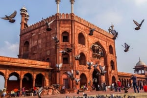 Delhi: Taj Mahal-tur med højhastighedstog – alt inklusive