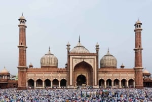Delhi: Taj Mahal-tur med højhastighedstog – alt inklusive