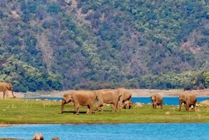 2-daagse wildsafari en rondleiding door het Jim Corbett National Park