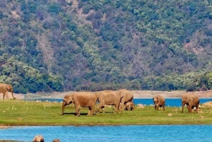 3-Day Jim Corbett National Park Tour