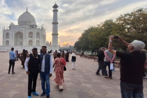 3-дневный тур: Тадж-Махал, Wildlife SOS и сафари в Рантхамбор