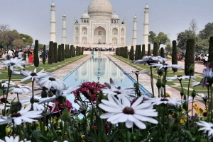 Excursão de 4 dias ao Taj Mahal, Délhi e Safári do Tigre de Ranthambore