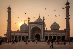 Excursão de 4 dias ao Taj Mahal, Délhi e Safári do Tigre de Ranthambore