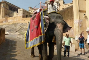 Circuit de luxe de 4 jours dans le Triangle d'Or depuis Delhi