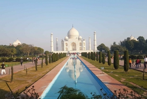 4 dagers luksusutflukt i Det gylne triangel i India fra Delhi