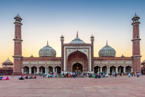 4-daagse privéluxe Gouden Driehoektour vanuit Delhi