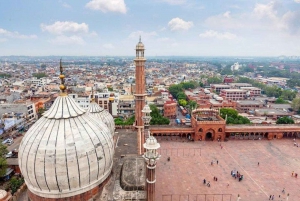 4-stündiger Rundgang durch die Altstadt von Delhi mit Rikscha-Fahrt