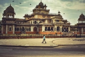 Golden Triangle Reimagined: Ethical Luxury in Every Step