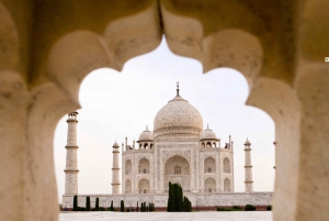 Tour di 5 giorni del Triangolo d'Oro con safari della tigre di Ranthambore