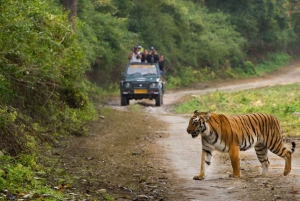 5-dagars safari med Gyllene triangeln och Jim Corbett nationalpark