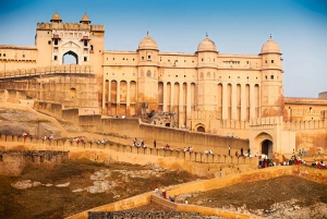 5-Day Private Golden Triangle & Tiger Safari Tour from Delhi