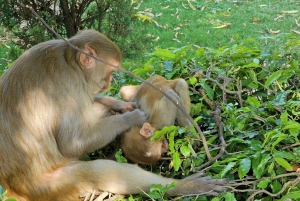 5-Days Private Luxury Golden Triangle Tour Agra Jaipur Delhi