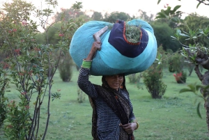 5-Days Private Luxury Golden Triangle Tour Agra Jaipur Delhi