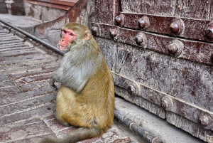 5N/6D Golden Triangle Tour + autentisk matlagningskurs